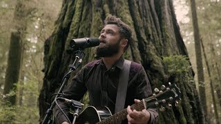 Passenger  Survivors Acoustic Live from Jedediah Smith Redwood State Park OR [upl. by Kalman]