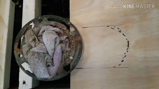 Fix rotting floor under toilet [upl. by Nosyerg]