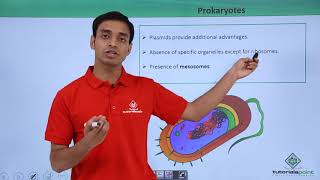 Class 11th  Prokaryotes – Introduction  Cell The unit of Life  Tutorials Point [upl. by Roselba]