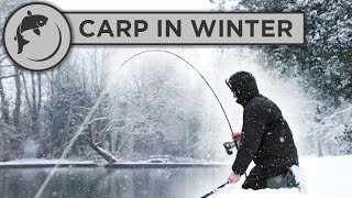 CATCH MORE CARP in WINTER with these 5 tips [upl. by Eimerej]