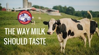 Homestead Creamery  The Way Milk Should Taste [upl. by Apple]