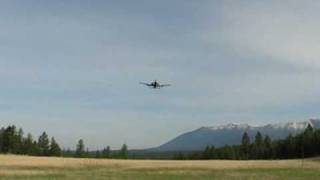 A10 Warthogs fly by [upl. by Dloraj447]