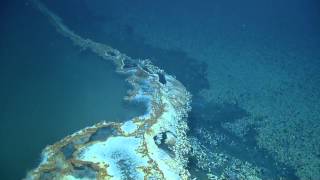 Discovering a Brine Pool  Nautilus Live [upl. by Harrietta]