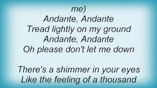 Abba  Andante Andante Lyrics [upl. by Millham267]