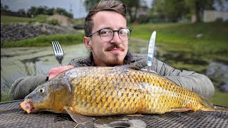 Is This Fish Edible Carp Catch and Cook [upl. by Curran984]