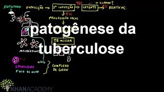 patogênese da tuberculose  Quimica  Khan Academy [upl. by Seto722]