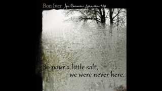 Skinny Love by Bon Iver lyrics [upl. by D'Arcy214]