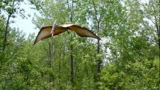 Pterodactyl or Pteranodon at Field Station Dinosaur [upl. by Epillihp]