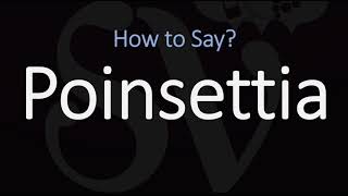 How to Pronounce Poinsettia CORRECTLY [upl. by Annaig135]