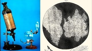 How Robert Hooke Discovered The Cell [upl. by Ofori]