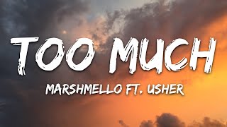 Marshmello x Imanbek  Too Much Lyrics ft Usher [upl. by Bilbe]