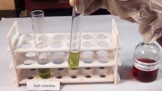 Chemical tests for Sulphide  MeitY OLabs [upl. by Niwred288]