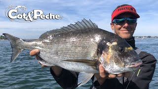 Pêche de la dorade royale avec Yoann Houssais [upl. by Ahsimit306]