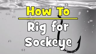 How To Rig For Sockeye [upl. by Nwhas196]