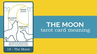 The Moon Tarot Card Reading and Meaning [upl. by Donahue]