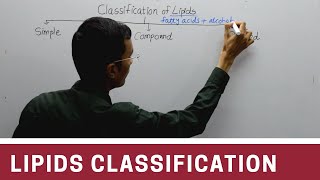 Classification of Lipids [upl. by Fenwick]