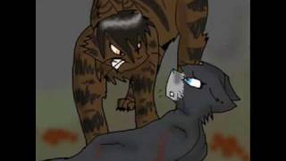 Tigerstar  Flawed Design [upl. by Clorinde216]