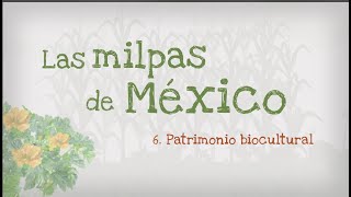 6 Las milpas de México patrimonio biocultural [upl. by Lerraj]