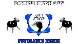 Dancing Polish Cow SAMString Remix [upl. by Lai723]