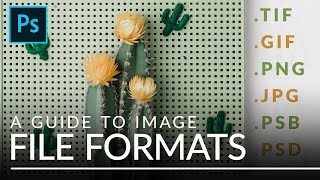 File Formats in Photoshop EXPLAINED TIFF GIF PSB amp More [upl. by Booth]