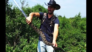 The LONGEST Timber Rattlesnake I Ever Handled [upl. by Acinorej65]