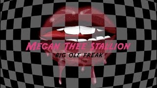 Megan Thee Stallion  Big Ole Freak Official Lyric Video [upl. by Renmus]