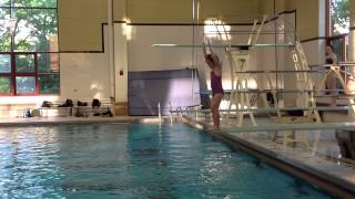 Teach a Flip for Springboard Diving [upl. by Kurtzman]