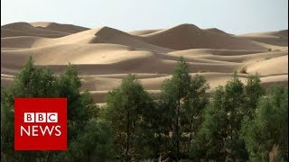 Why is Africa building a Great Green Wall BBC News [upl. by Annat194]