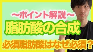 【脂肪酸の合成】過程を知ると必須脂肪酸の意味がわかる！飽和脂肪酸から不飽和脂肪酸まで重要ポイントをマスターしよう！ [upl. by Chenay]