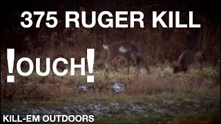 375 Ruger Kill Shot [upl. by Anyak]