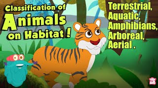 HABITAT OF ANIMALS  Classification Of Animals On Habitat  The Dr Binocs Show  Peekaboo Kidz [upl. by Atinahc]