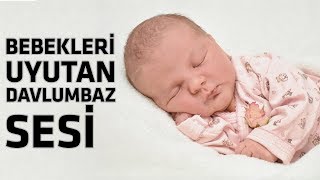 Davlumbaz Sesi  Bebekler İçin Uyku Desteği [upl. by Joni]