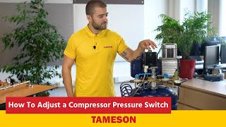 How To Adjust a Compressor Pressure Switch  Tameson [upl. by Atinad175]