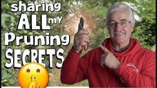 3 SIMPLEST STEPS to PRUNING your FRUIT TREES [upl. by Giovanni]