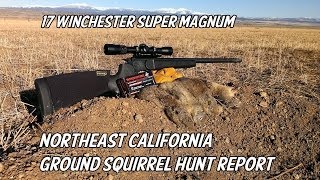 NE California Ground Squirrel Hunt Report  17 Winchester Super Magnum [upl. by Castera]