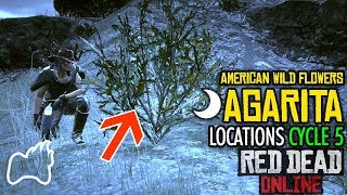 RED DEAD ONLINE AGARITA Cycle 5 Locations  American Wild Flowers Collection [upl. by Collyer]