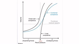 USMLE STEP 1 Questions Lung Compliance Curves [upl. by Terrijo]