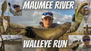 Maumee River Fishing  Walleye Run 2021 [upl. by Eem83]