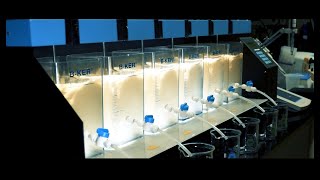 Jar Test Procedure for Water Treatment [upl. by Aicener]