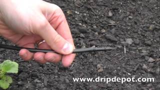 How to Install a Drip Irrigation System for Trees [upl. by Acissey]