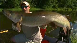 Top 5 Small River Musky Baits [upl. by Blim]