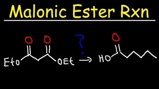 Malonic Ester Synthesis Reaction Mechanism [upl. by Orvie]