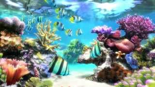 Sim Aquarium  Screensaver amp Live Wallpaper  SimAquariumcom [upl. by Nan241]