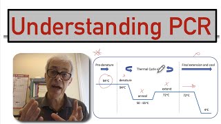 Understanding PCR [upl. by Marrissa]