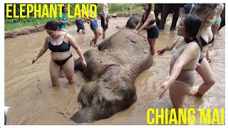 Elephant land  Chiang Mai  Thailand [upl. by Erroll]