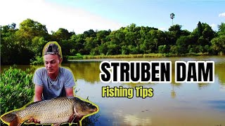 Short Fishing Session Struben Dam  Pretorias little Gem  Tips amp Location [upl. by Ydnas]