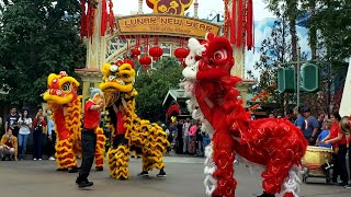 Dragon Dance  Disneyland Lunar New Year 2020 [upl. by Nnorahs]