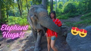 Chaing Mai Elephant Sanctuary [upl. by Okikuy]