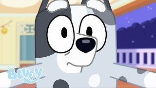 Muffin Madness  The Sleepover  Bluey [upl. by Burnley602]