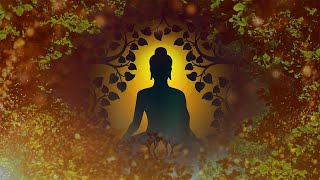 Positive Energy Vibration Good Vibes Healing Music Meditation Music Chakra Healing [upl. by Yramesor]